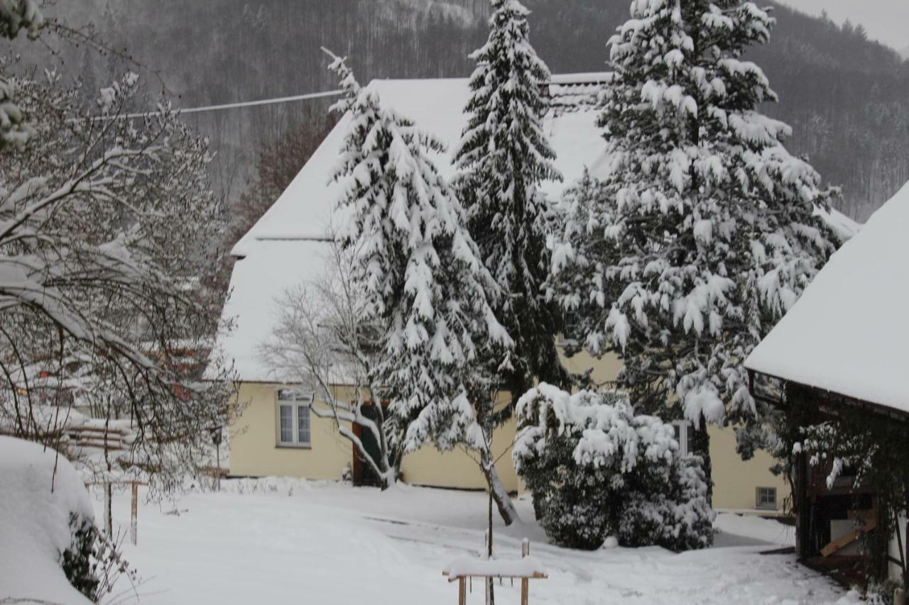 Ferienwohnung In Herrlicher Lage Bad Urach Exterior foto